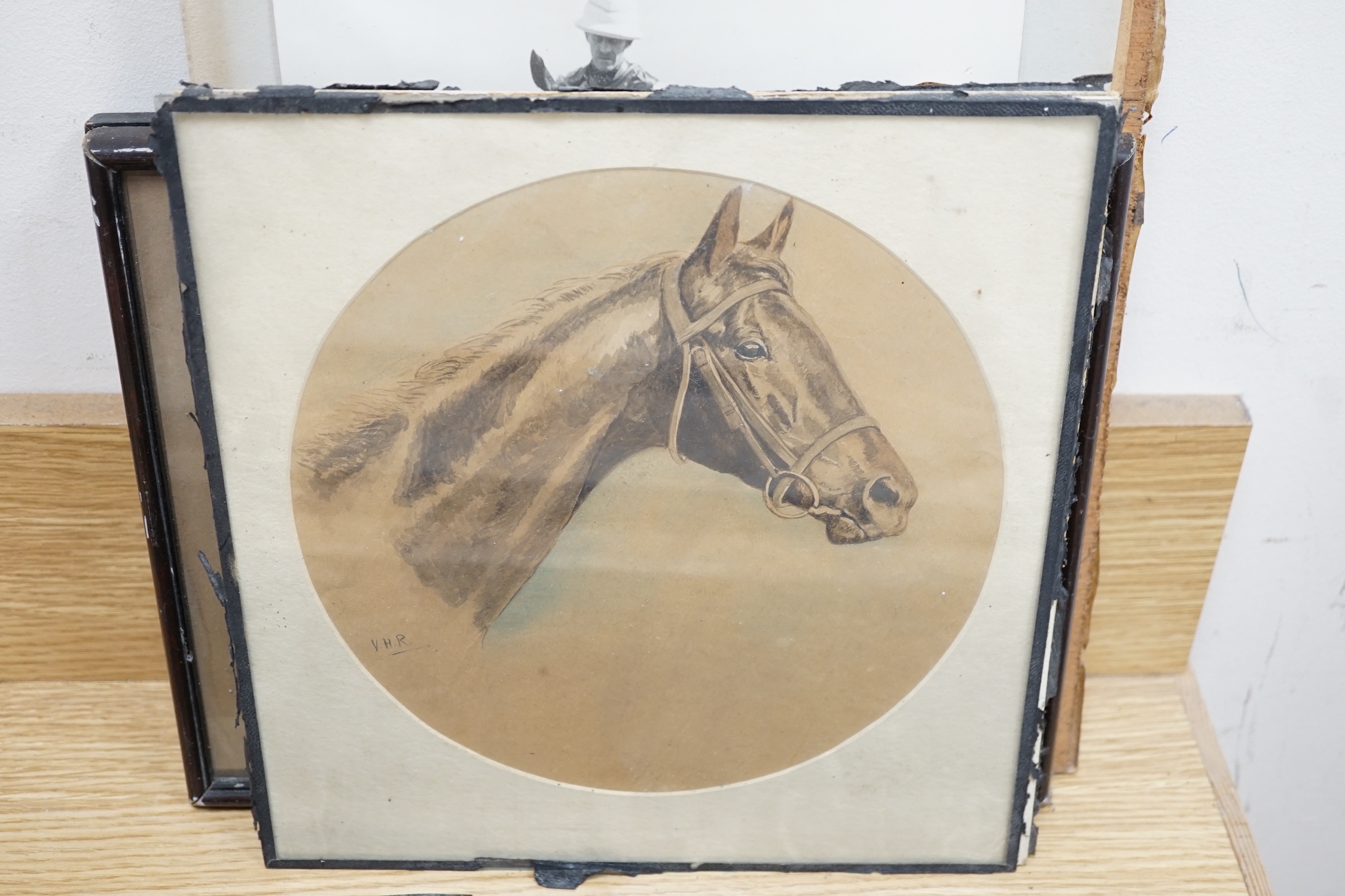D M & E M Alderson, pair of watercolours, Portraits of racehorses c.1943/48 raced at Calcutta, together with a group of related photographs and ephemera, signed and dated, 38 x 52cm